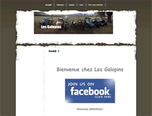 Tablet Screenshot of les-galopins.com